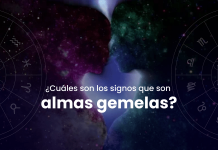 ¿Cuáles son los signos que son almas gemelas?