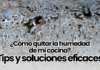 ¿Cómo quitar la humedad de mi cocina? Tips y soluciones eficaces