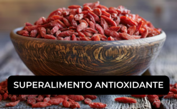 Bayas de goji: el superalimento antioxidante que debes conocer