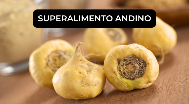 Maca amarilla_ el superalimento andino para potenciar tu energía
