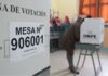 Segunda vuelta 2026 en Perú: más de 27 millones acudirán a las urnas este domingo